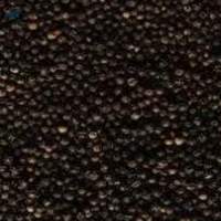 Black Pepper