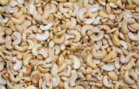 Cashew