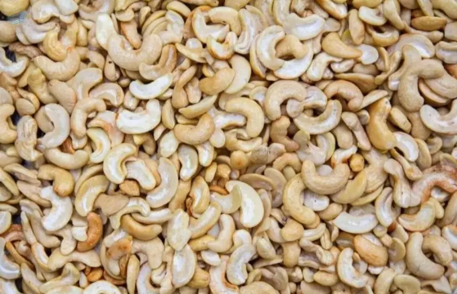 Cashew