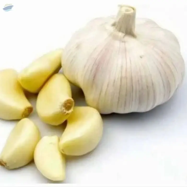 Fresh Natural Garlic
