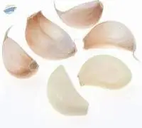 Fresh Garlic Cloves