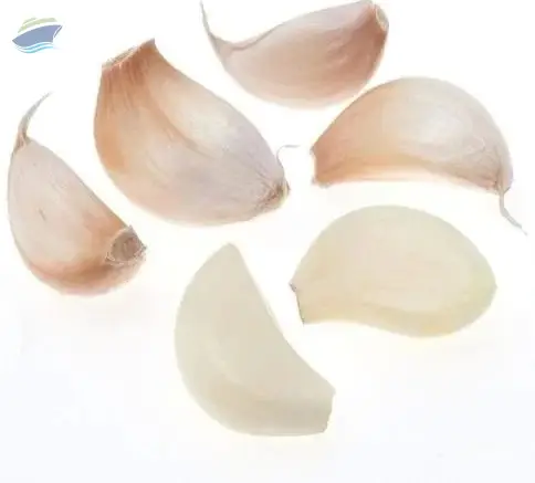 Fresh Garlic Cloves