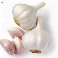 A Grade Garlic