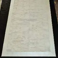 Th-Fur Carpet-008