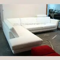 LS-SS-003
