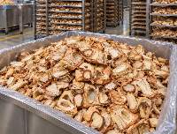 Dehydrated Jackfruit Powder/Flour