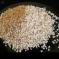 White Sesame Seeds