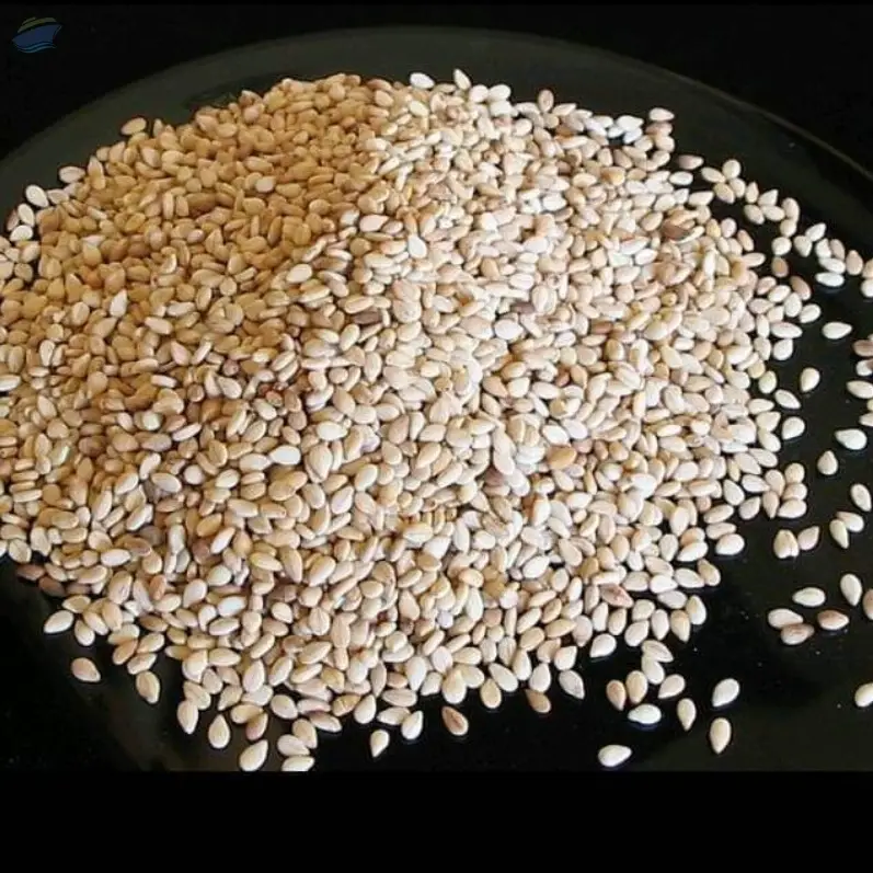 White Sesame Seeds
