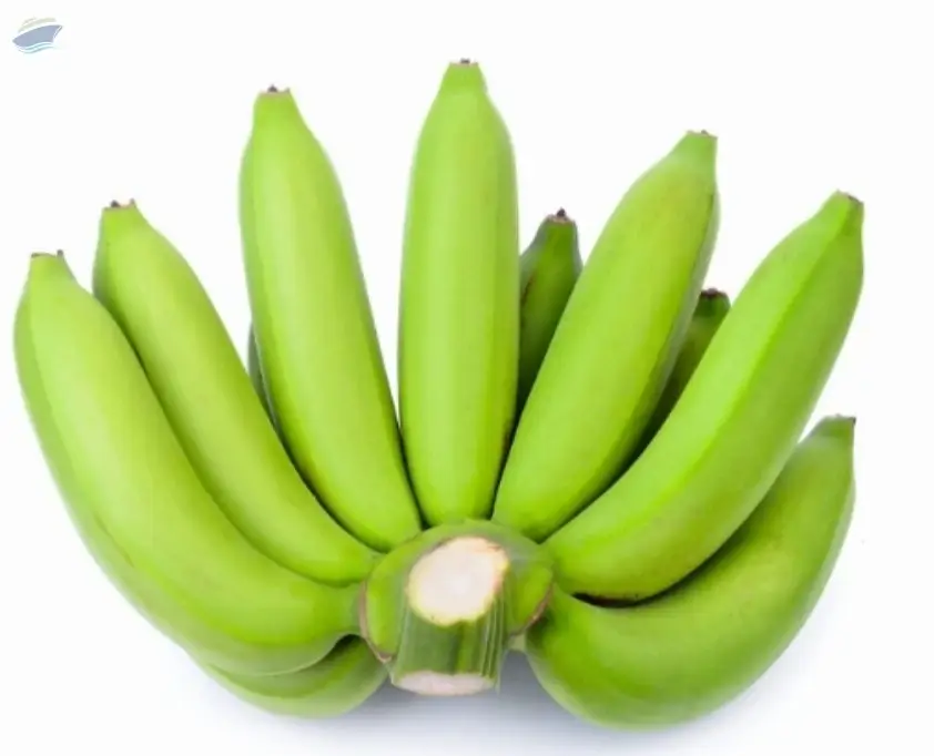 Fresh G9 Cavendish Banana