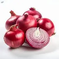 Fresh Rose/red Nashik Oinions