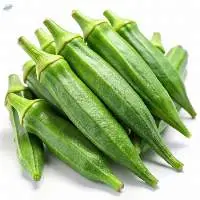 Fresh Okra/lady's Finger