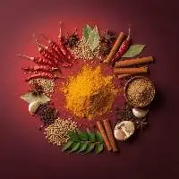 Authentic Masalas
