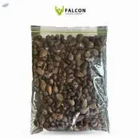Palm kernel shell