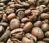 Luwak Coffee Arabica / Wild)