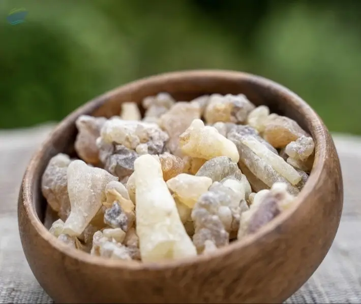 Neglecta Frankincense Resins