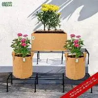 Rectangular Mild Steel Plant Stand
