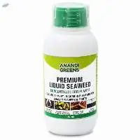 Premium Seaweed Extract Plant Growth Promoter