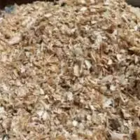Shrimp Shell