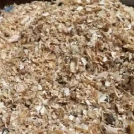 Shrimp Shell