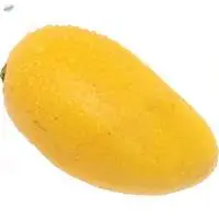 Neelam Mango Puree And Concentrate