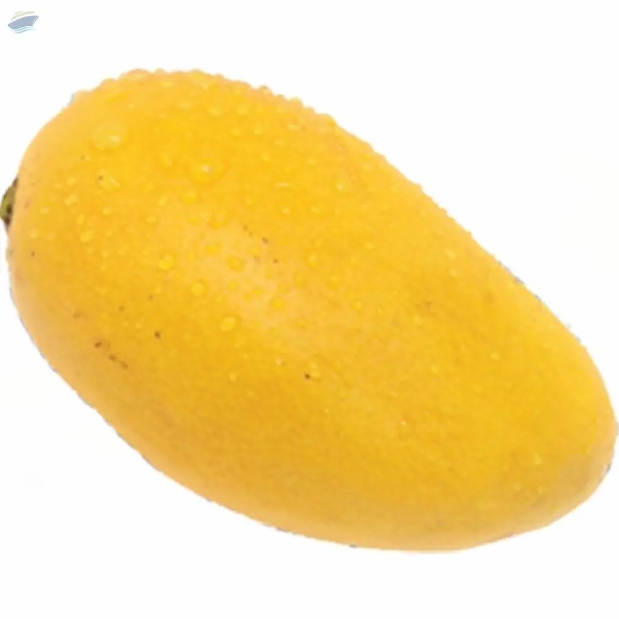 Neelam Mango Puree And Concentrate