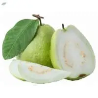 White Guava Puree & Concentrate