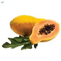Yellow Papaya Puree & Concentrate