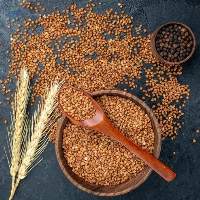 Natural Premium Quality Food Grains