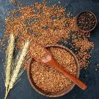 Natural Premium Quality Food Grains