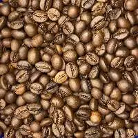 Robusta Honey Coffee Beans
