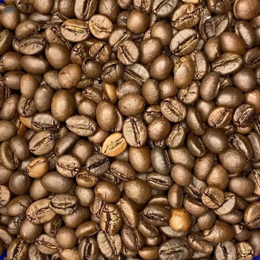 Robusta Honey Coffee Beans