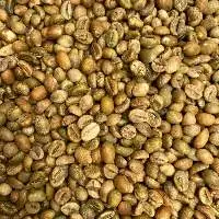 Robusta S16 Green Bean Coffee