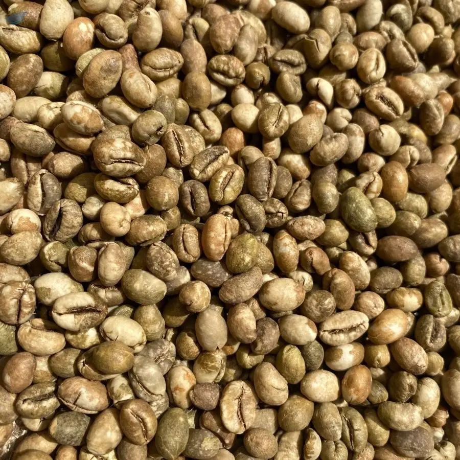 Culi S18 Green Bean Coffee