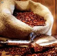 Arabica Coffee Bean Single Origin