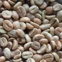 Java Grade 1 Robusta Green Bean