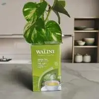 Indonesian Green Tea Finest Detox