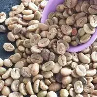Arabica Grade 1 Green Beans