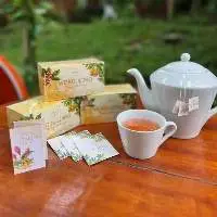 Tea Infused with Ginger, Cinnamon & Curcuma