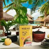 Lemon Tea Zesty Citrus Infused Slimming