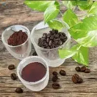 Freshly Roasted Arabica Coffee