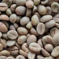 Grade 1 Arabica Green Coffee Beans