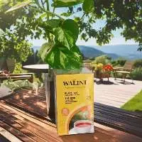 Lemon Tea Smooth Flavorful Blended Health Tea