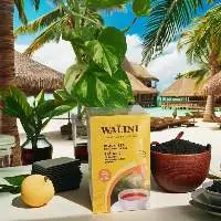 Lemon Tea Refreshing Indonesian Citrus Herbal