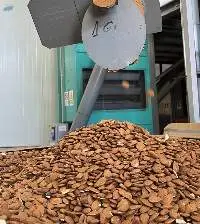 Almonds (sicilian)