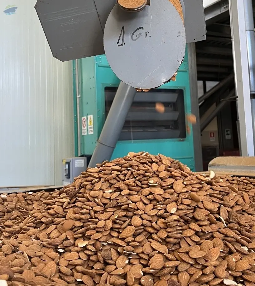 Almonds (sicilian)