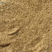 Soybean Meal