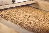 Wood pellets