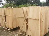 plywood, wood panel, sawn board, particle board