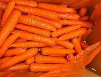 Carrot