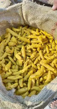 Salem Turmeric Whole- Premium Indian Variety